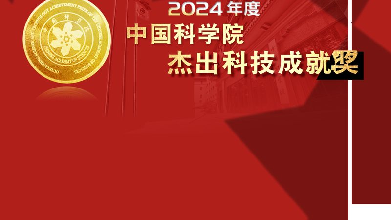 数字化解决方案代理加盟：成功背后的关键因素**